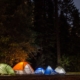 six camping tents in forest